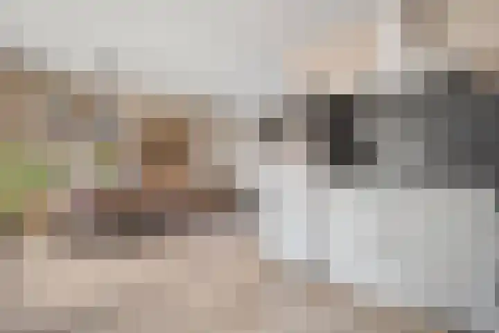 Prinses Marijkelaan 84 Slagharen thumbnail 10