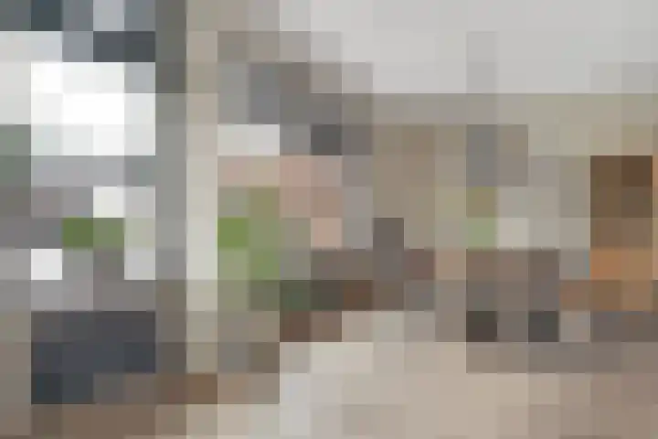 Prinses Marijkelaan 84 Slagharen thumbnail 11