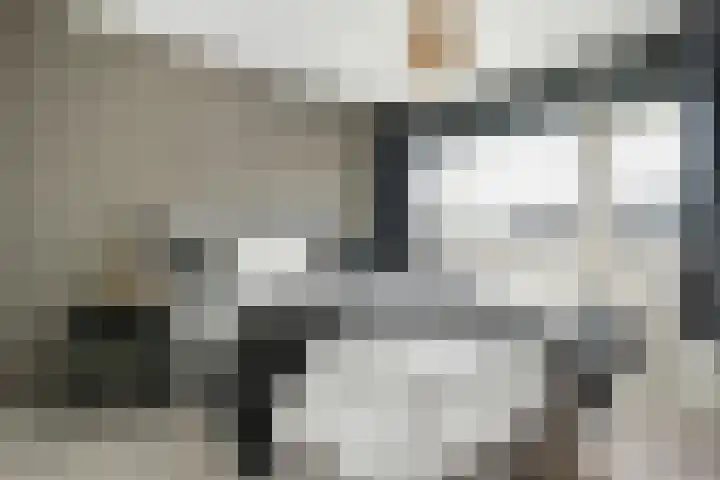 Prinses Marijkelaan 84 Slagharen thumbnail 18