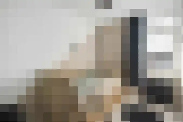 Prinses Marijkelaan 84 Slagharen thumbnail 20