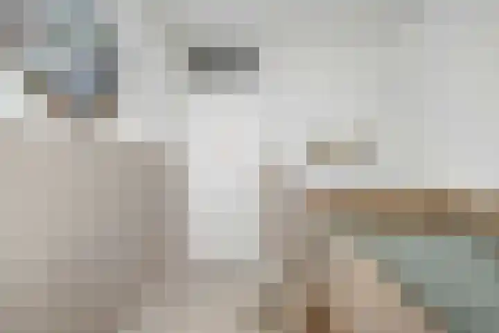 Prinses Marijkelaan 84 Slagharen thumbnail 21