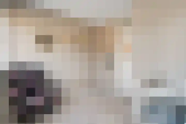 Prinses Marijkelaan 84 Slagharen thumbnail 23