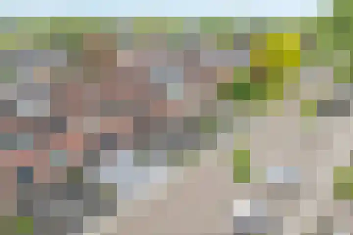 Prinses Marijkelaan 84 Slagharen thumbnail 35