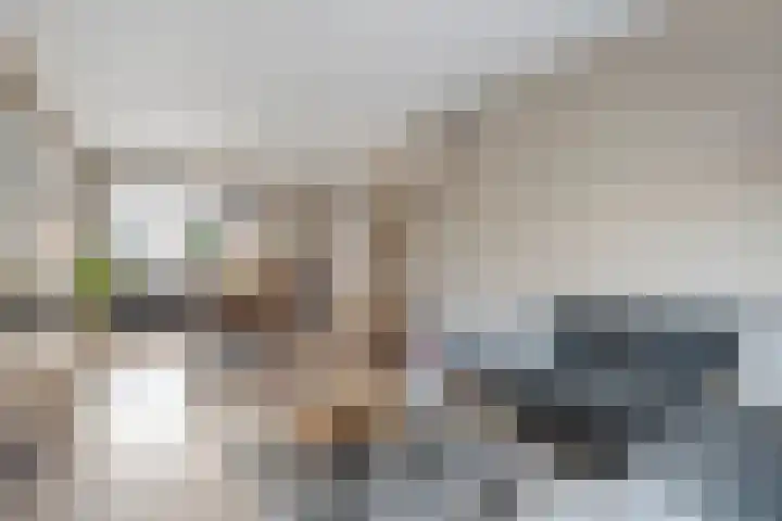 Prinses Marijkelaan 84 Slagharen thumbnail 6