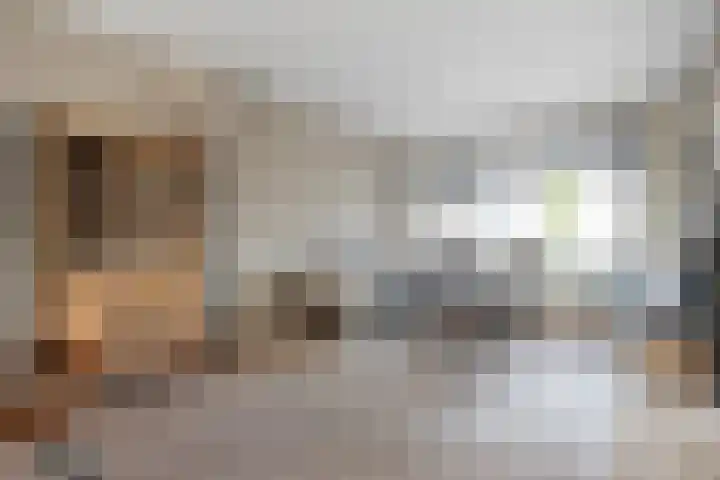 Prinses Marijkelaan 84 Slagharen thumbnail 7