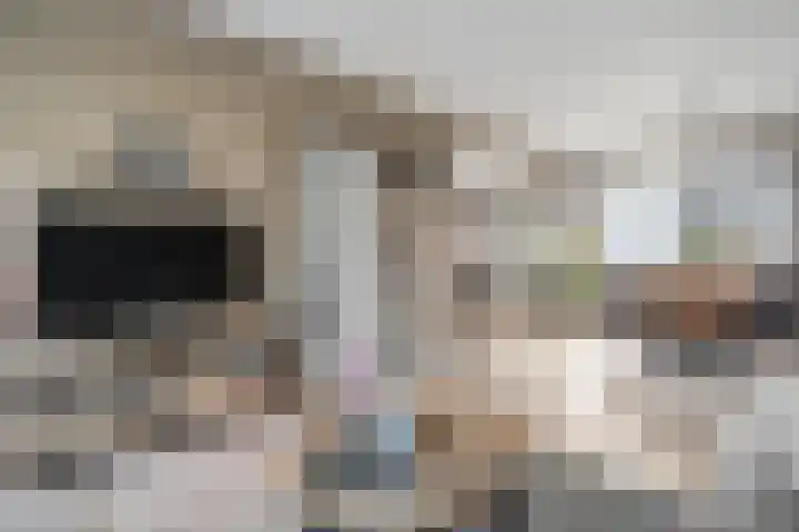 Prinses Marijkelaan 84 Slagharen thumbnail 8