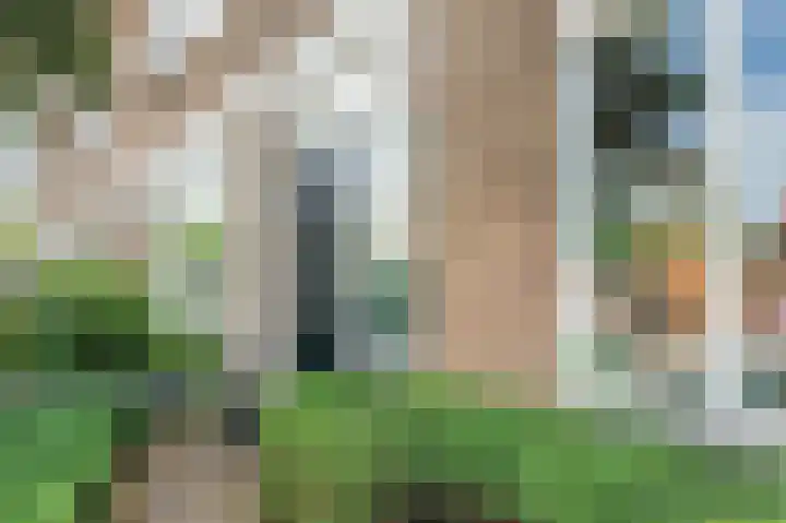 Prinses Marijkelaan 9 Den Hoorn thumbnail 10