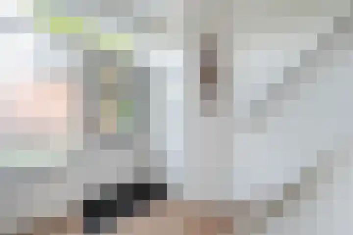 Prinses Marijkelaan 9 Den Hoorn thumbnail 11
