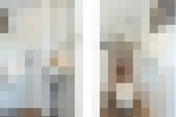 Prinses Marijkelaan 9 Den Hoorn thumbnail 12