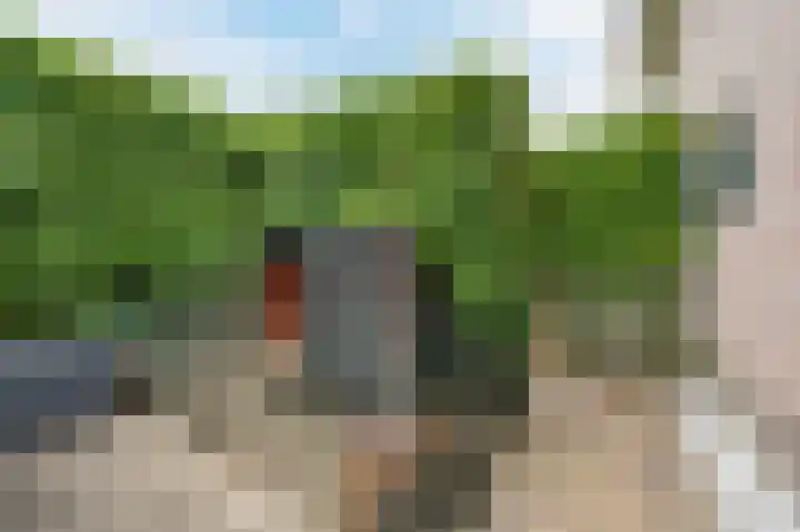 Prinses Marijkelaan 9 Den Hoorn thumbnail 50
