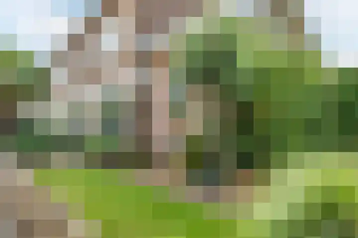 Prinses Marijkelaan 9 Den Hoorn thumbnail 9