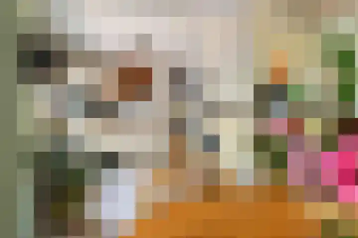 Prinses Marijkesluisweg 5 Rijswijk (GLD) thumbnail 14
