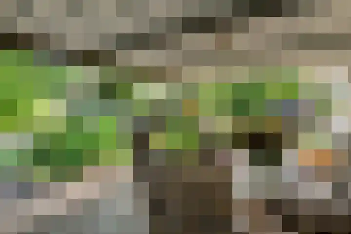 Prinses Marijkesluisweg 5 Rijswijk (GLD) thumbnail 21