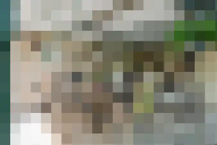 Prinses Marijkesluisweg 5 Rijswijk (GLD) thumbnail 22