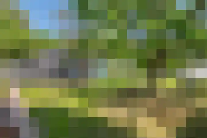 Prinses Marijkesluisweg 5 Rijswijk (GLD) thumbnail 33