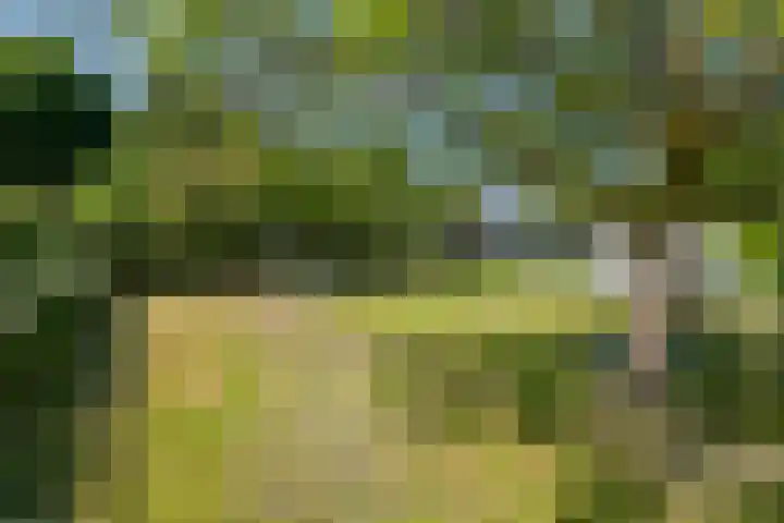 Prinses Marijkesluisweg 5 Rijswijk (GLD) thumbnail 34