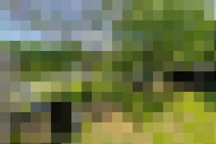 Prinses Marijkesluisweg 5 Rijswijk (GLD) thumbnail 35