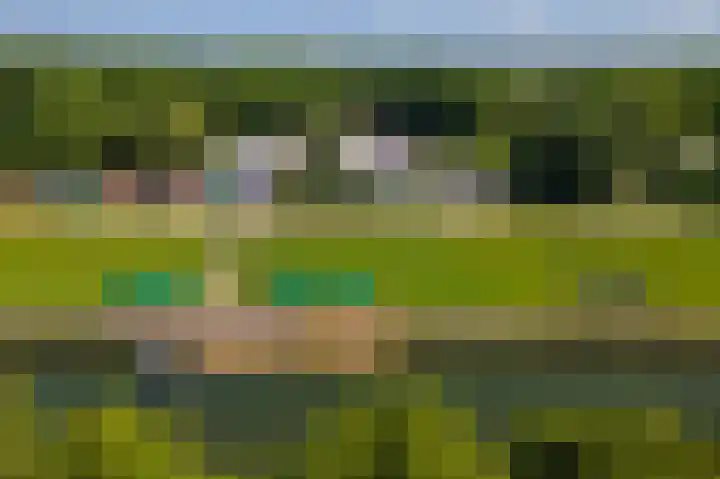 Prinses Marijkesluisweg 5 Rijswijk (GLD) thumbnail 36