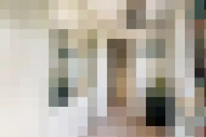 Prinses Marijkesluisweg 5 Rijswijk (GLD) thumbnail 42