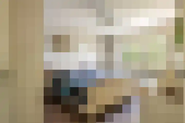 Prinses Marijkesluisweg 5 Rijswijk (GLD) thumbnail 43