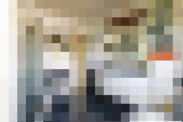 Prinses Marijkesluisweg 5 Rijswijk (GLD) thumbnail 46