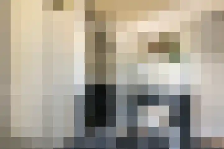 Prinses Marijkesluisweg 5 Rijswijk (GLD) thumbnail 47