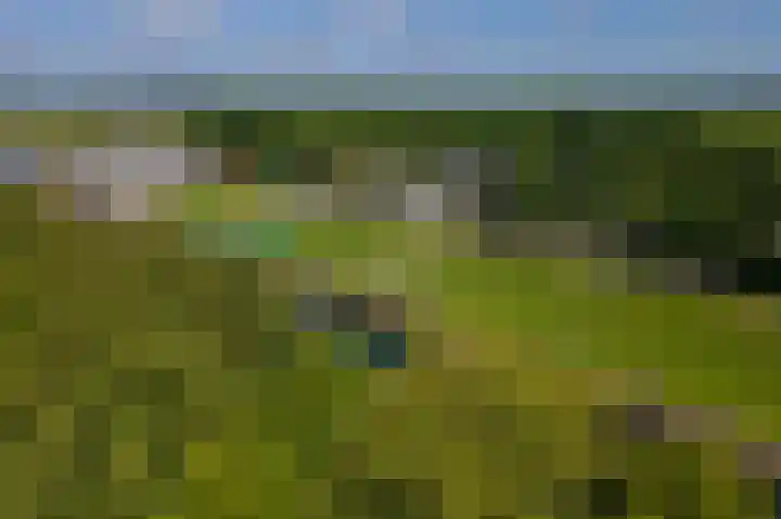 Prinses Marijkesluisweg 5 Rijswijk (GLD) thumbnail 64