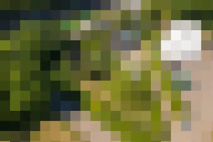 Prinses Marijkesluisweg 5 Rijswijk (GLD) thumbnail 65