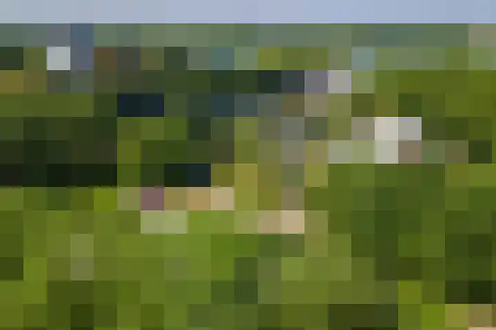 Prinses Marijkesluisweg 5 Rijswijk (GLD) thumbnail 66