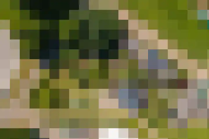 Prinses Marijkesluisweg 5 Rijswijk (GLD) thumbnail 67