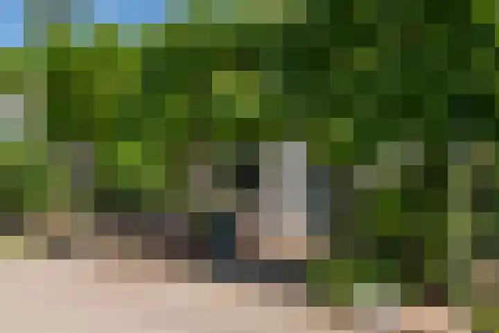 Prinses Marijkesluisweg 5 Rijswijk (GLD) thumbnail 7