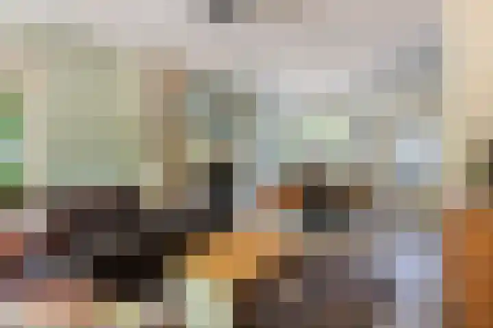 Prinses Marijkesluisweg 5 Rijswijk (GLD) thumbnail 9