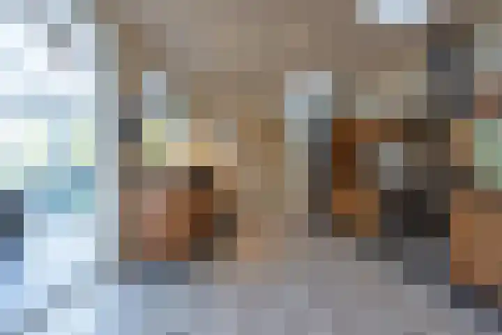 Prinses Marijkesluisweg 9 Rijswijk (GLD) thumbnail 42