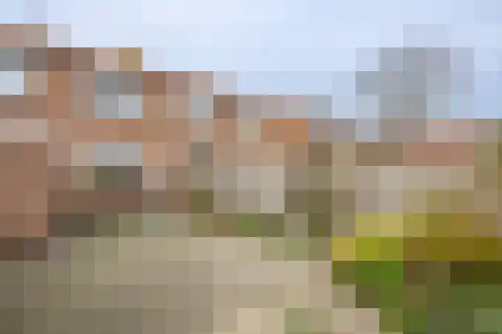 Prinses Marijkestraat 10 Stellendam thumbnail 21