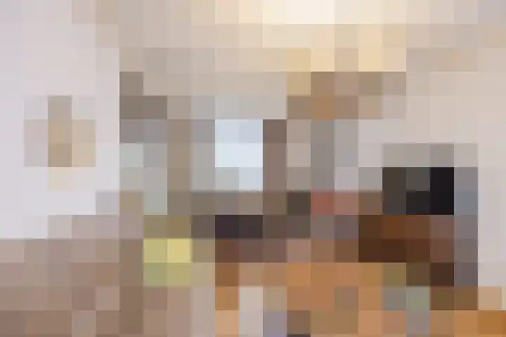 Prinses Marijkestraat 12 Dongen thumbnail 12