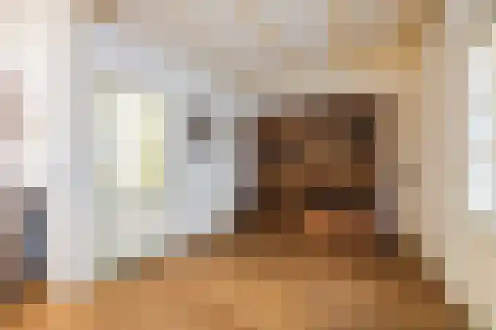 Prinses Marijkestraat 12 Dongen thumbnail 15