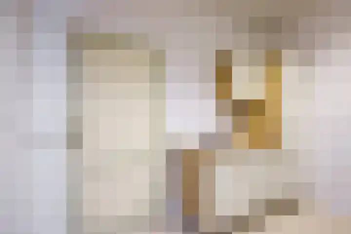 Prinses Marijkestraat 12 Dongen thumbnail 20