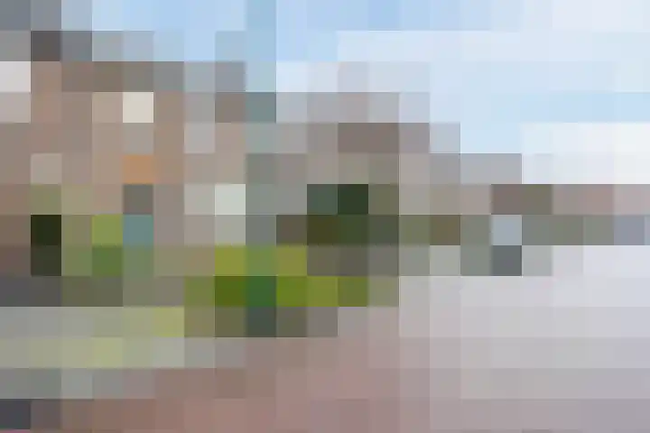 Prinses Marijkestraat 12 Dongen thumbnail 41