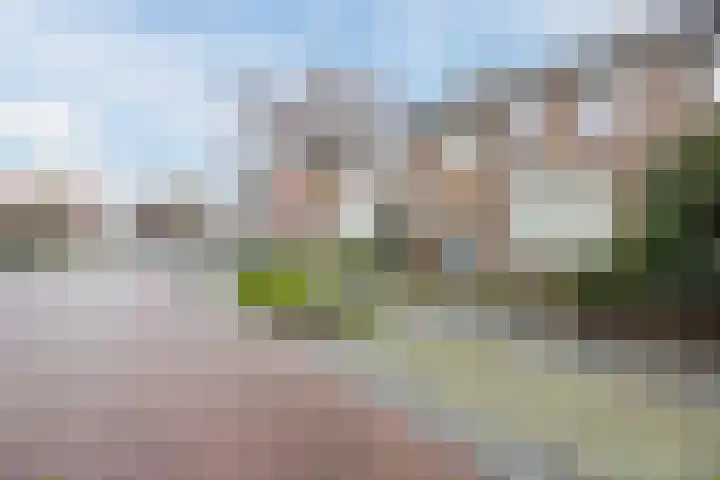 Prinses Marijkestraat 12 Dongen thumbnail 42