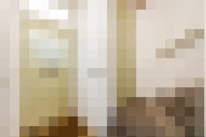 Prinses Marijkestraat 12 Dongen thumbnail 8