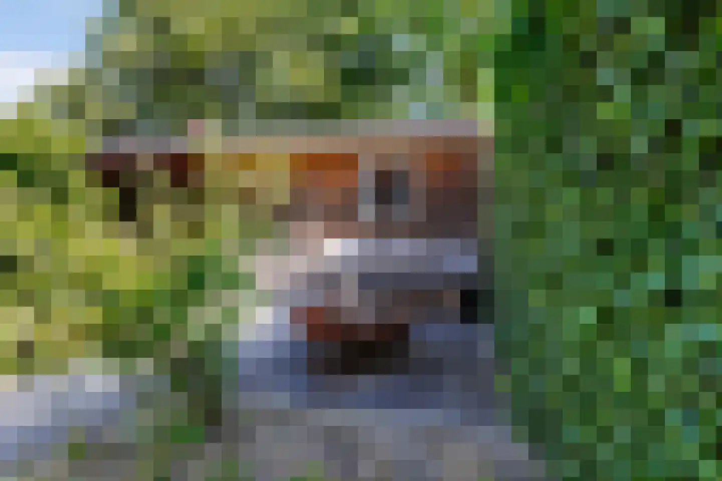 Prinses Marijkestraat 12 Drunen thumbnail 36