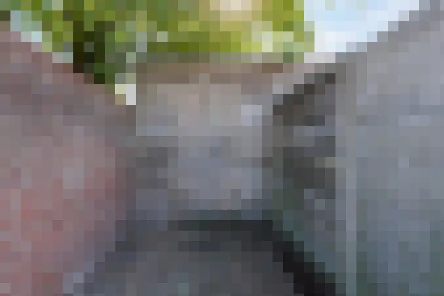 Prinses Marijkestraat 12 Drunen thumbnail 42