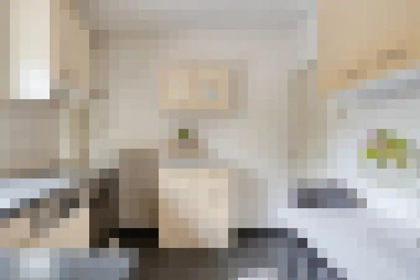 Prinses Marijkestraat 15 Dinteloord thumbnail 14