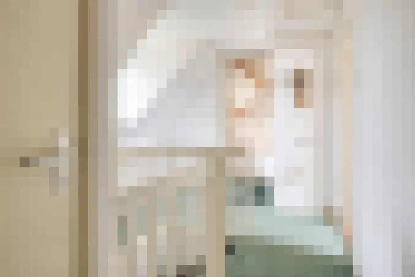 Prinses Marijkestraat 15 Dinteloord thumbnail 26