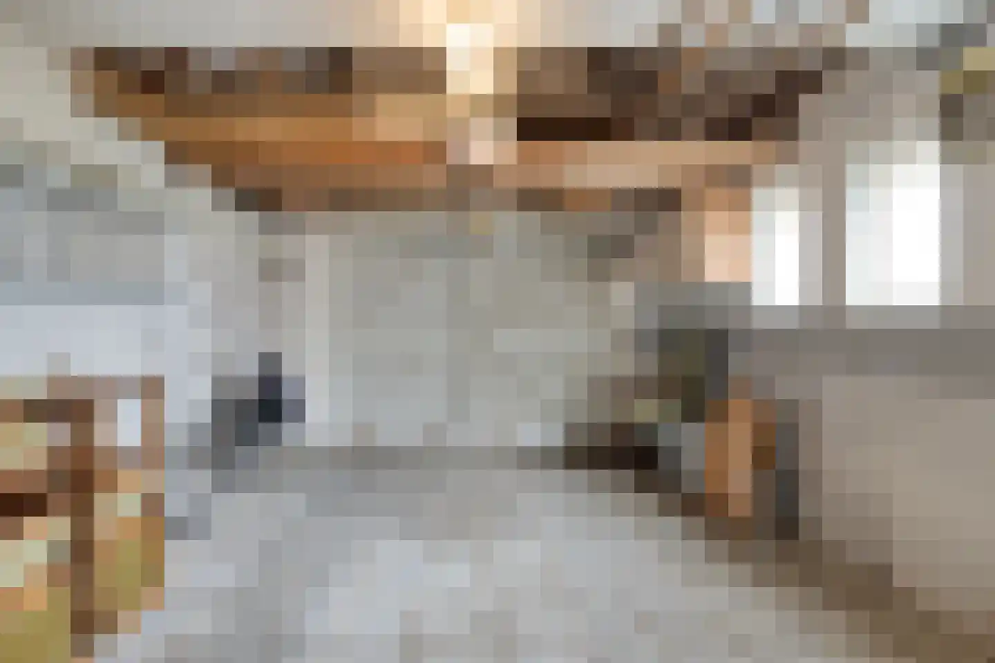 Prinses Marijkestraat 15 Dinteloord thumbnail 40