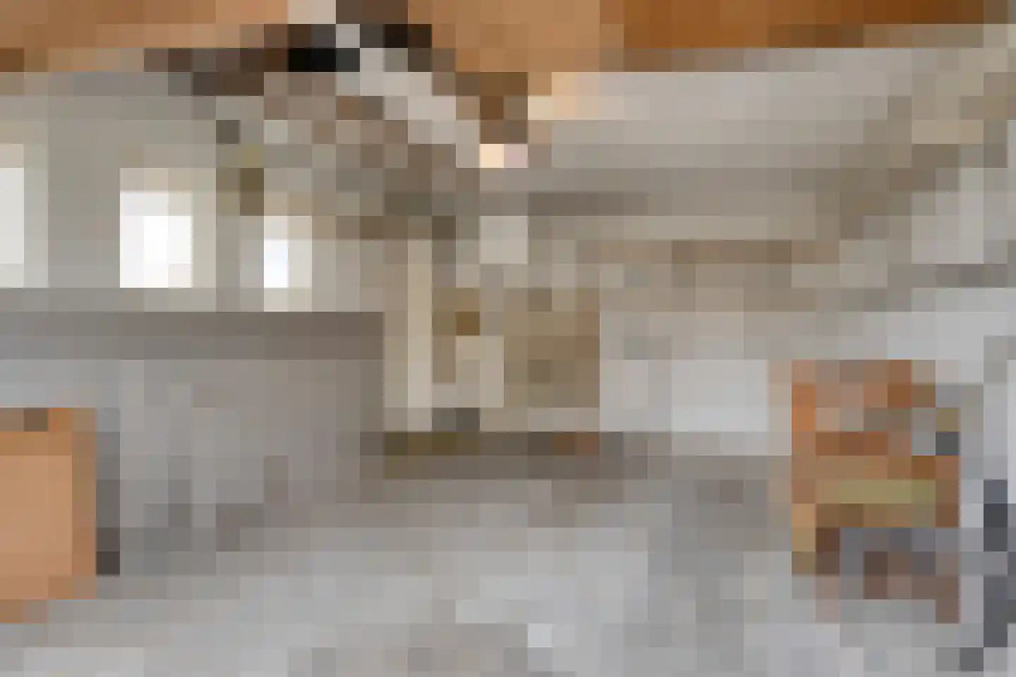 Prinses Marijkestraat 15 Dinteloord thumbnail 43