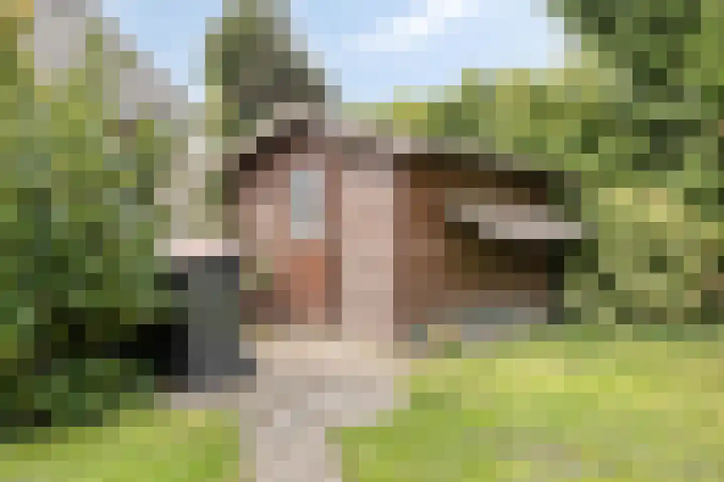 Prinses Marijkestraat 15 Dinteloord thumbnail 53
