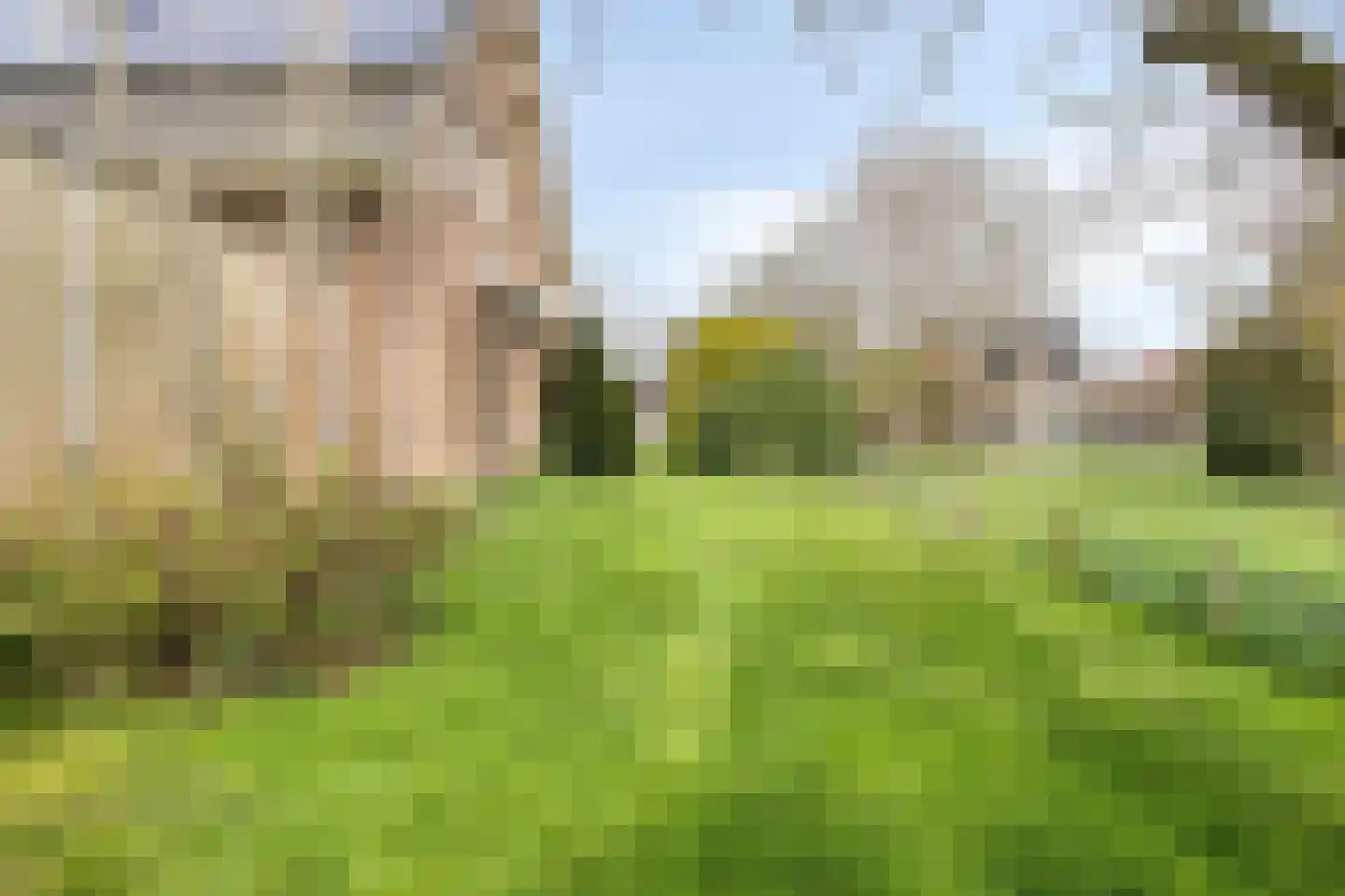 Prinses Marijkestraat 15 Dinteloord thumbnail 54