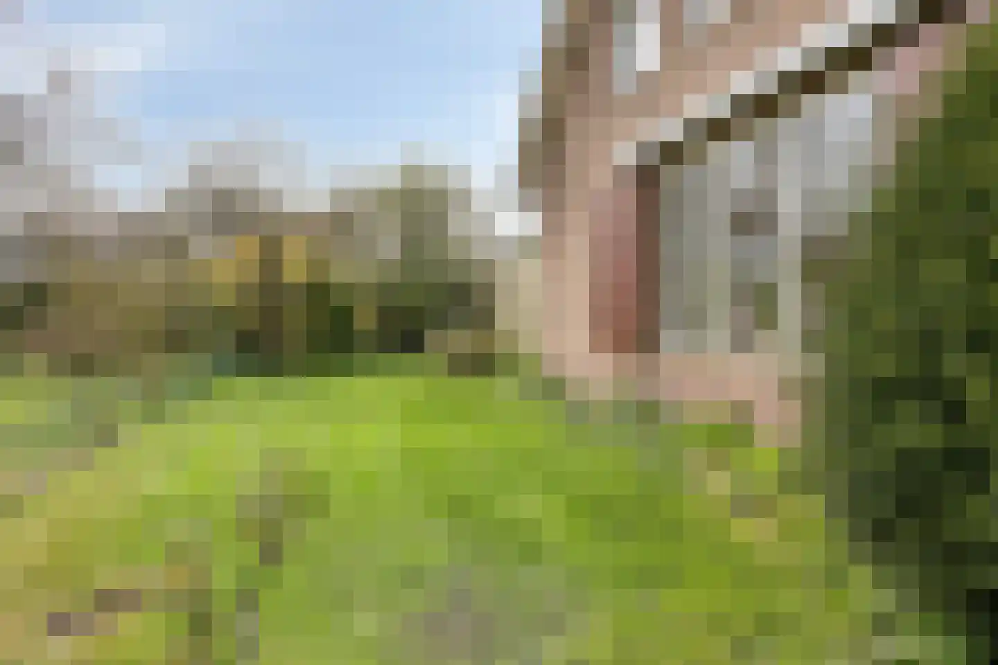 Prinses Marijkestraat 15 Dinteloord thumbnail 55