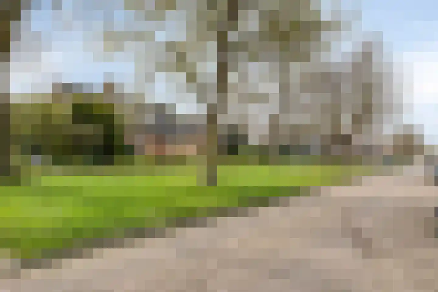 Prinses Marijkestraat 15 Dinteloord thumbnail 57